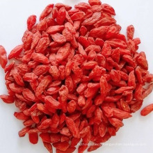 2020 New Crop Organic Low Pesticides EU Standard Goji Berry High Quality